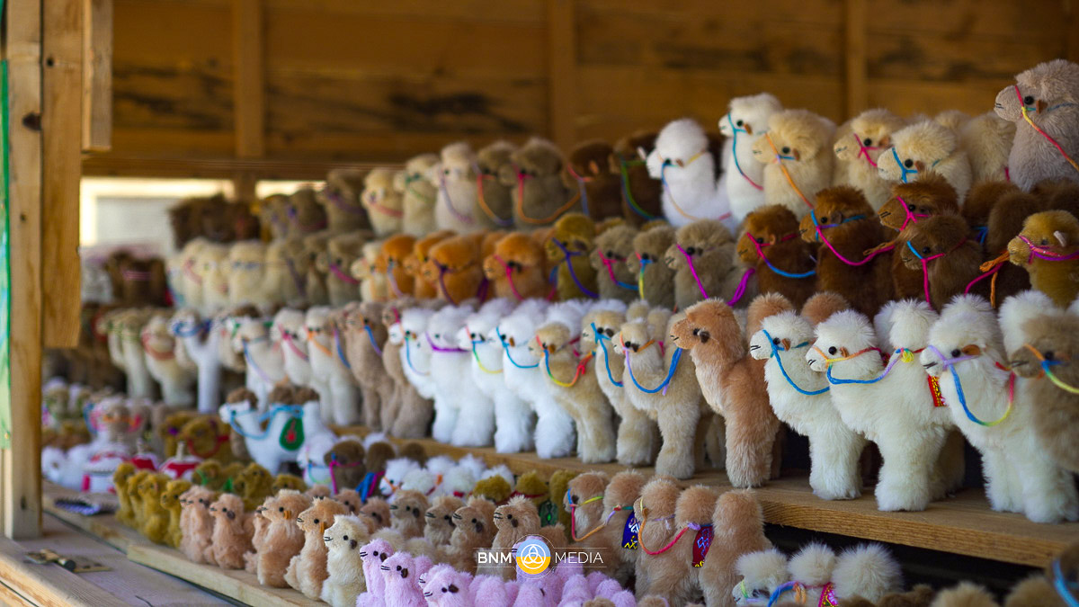 Souvenir shop